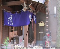 【Ｎｏ.001】東京の観光スポットで撮影